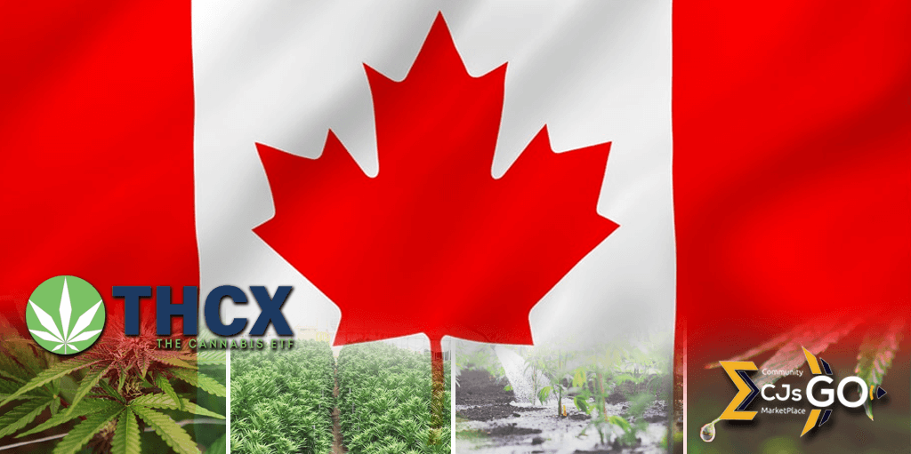 CJsGo | The Cannabis ETF (THCX), the first passively managed pure-play ETF solution for investing in cannabis, has declared a dividend of $0.4176 per share.
